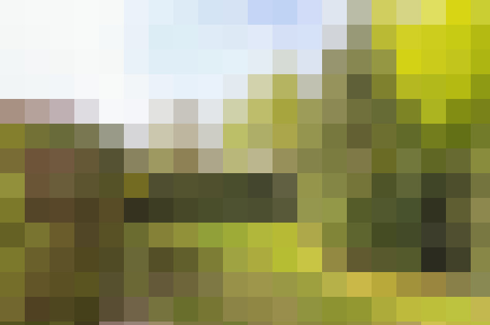 Image 24