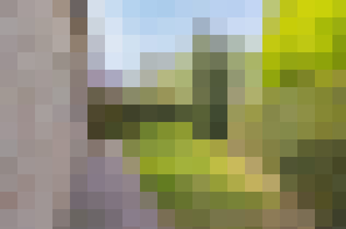 Image 23