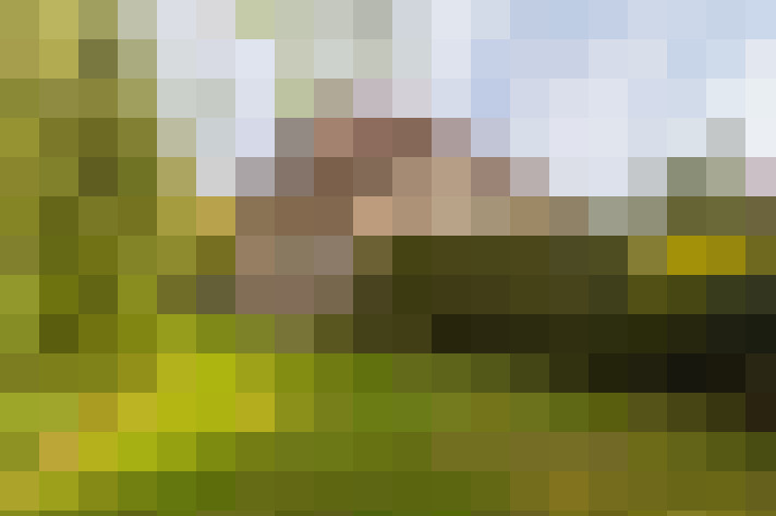Image 22