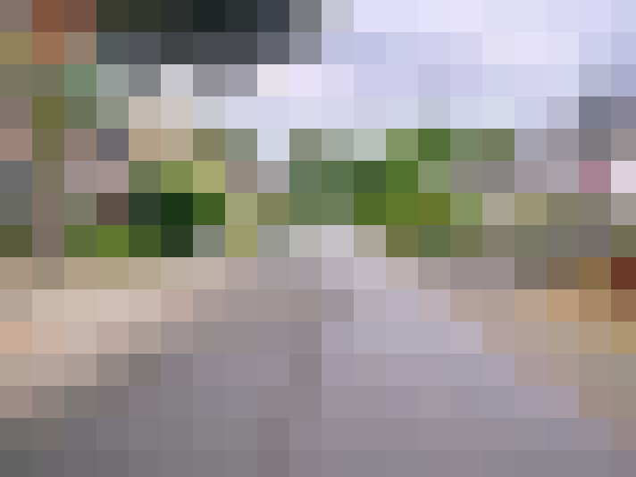 Image 41