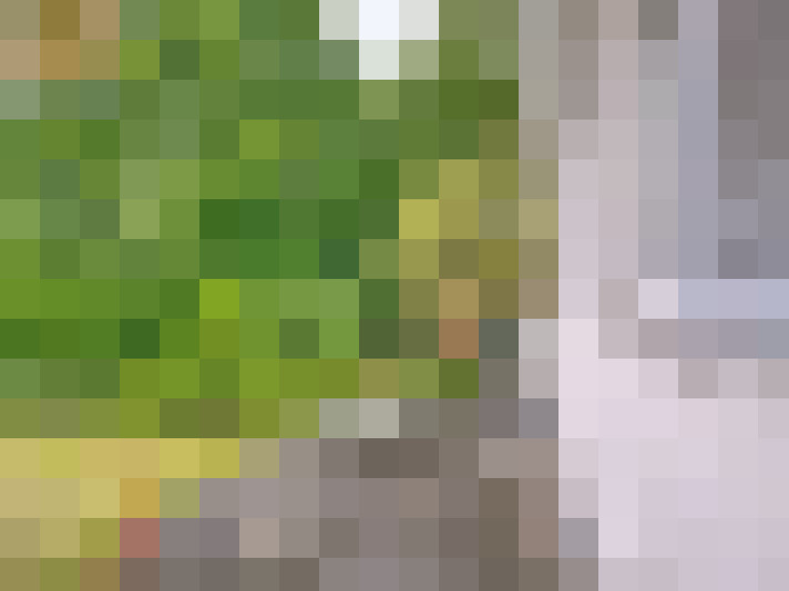 Image 40