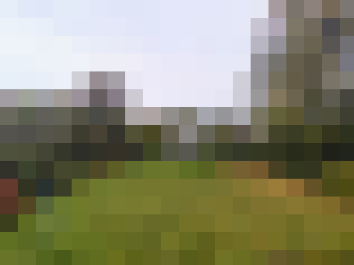 Image 24