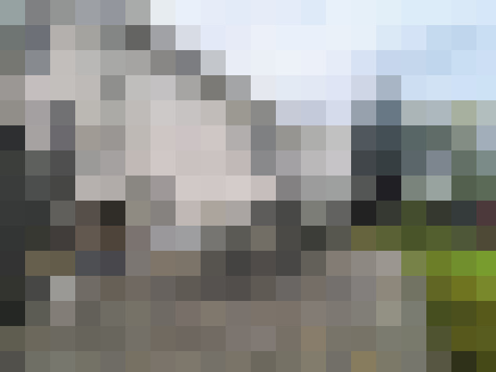 Image 21