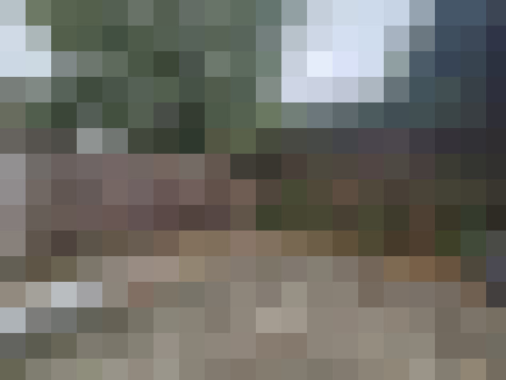 Image 13