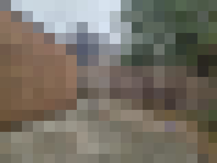 Image 15