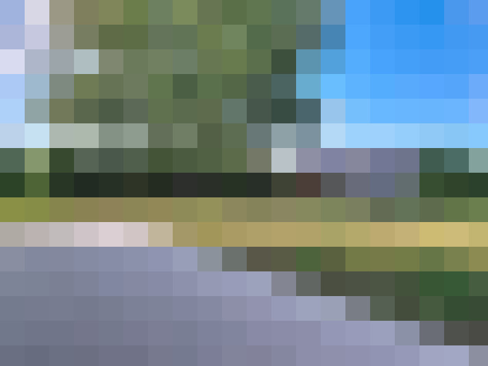 Image 13
