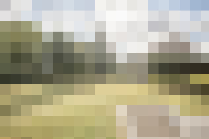Image 13