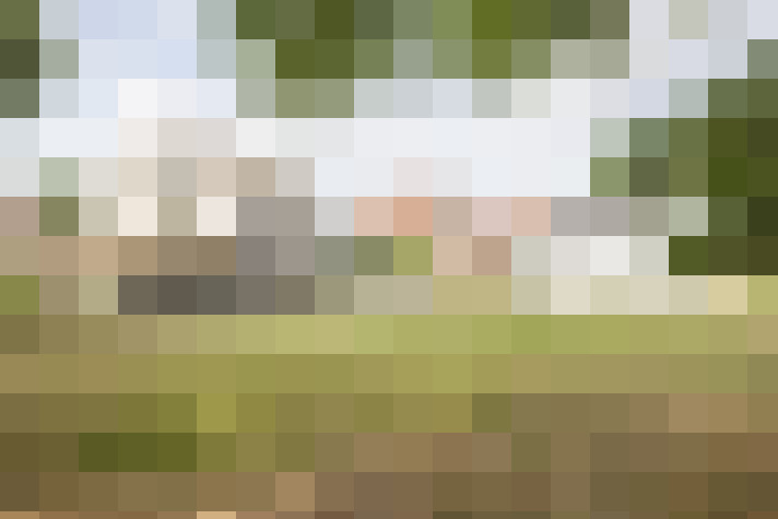 Image 14