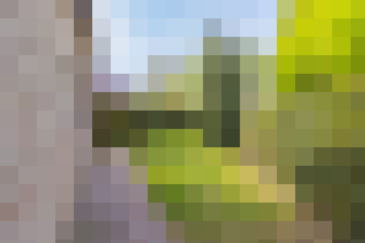 Image 23