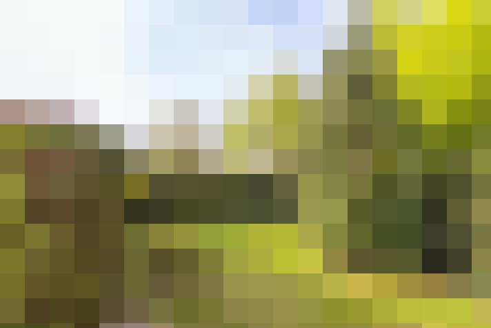 Image 24