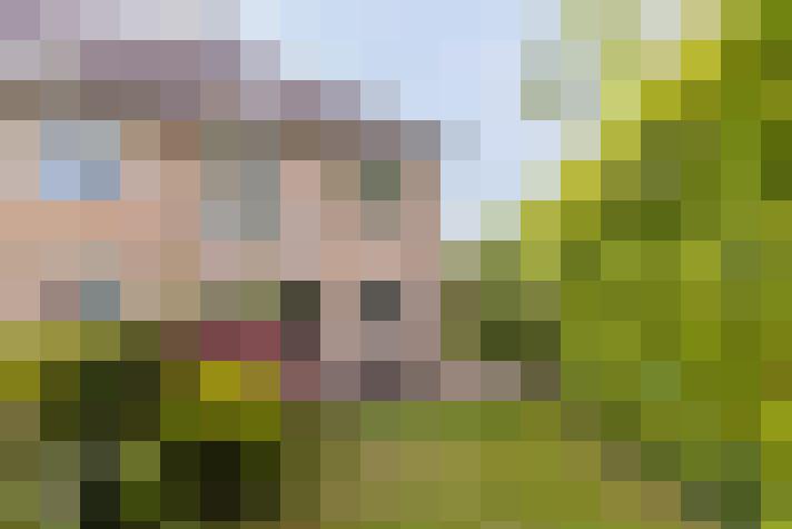 Image 21