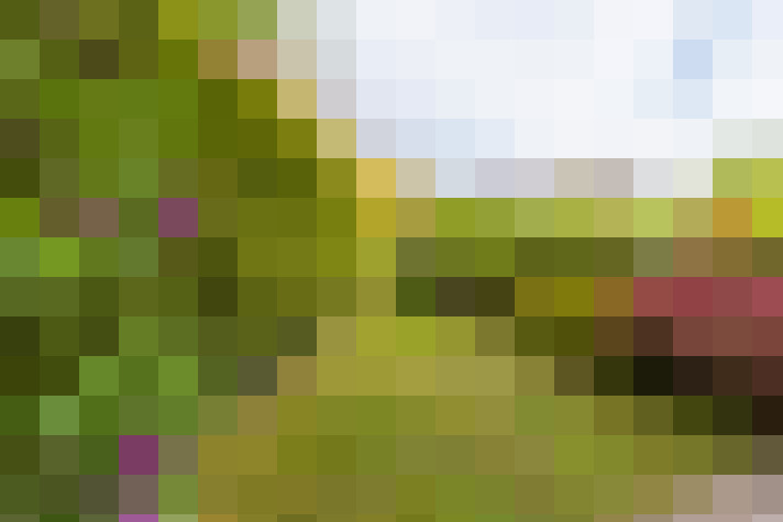 Image 25
