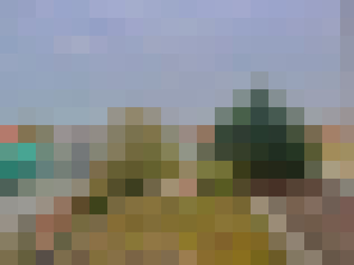 Image 14