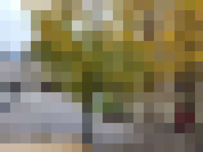 Image 30
