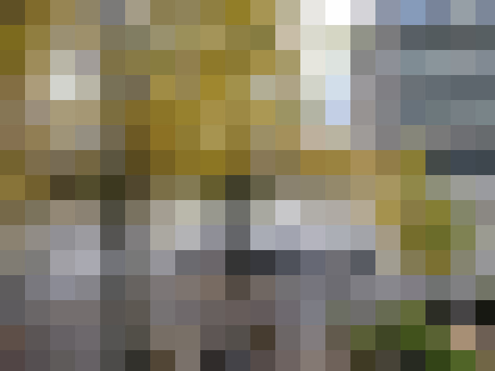 Image 29