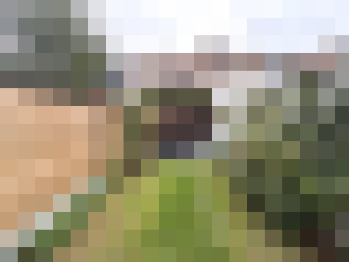 Image 15