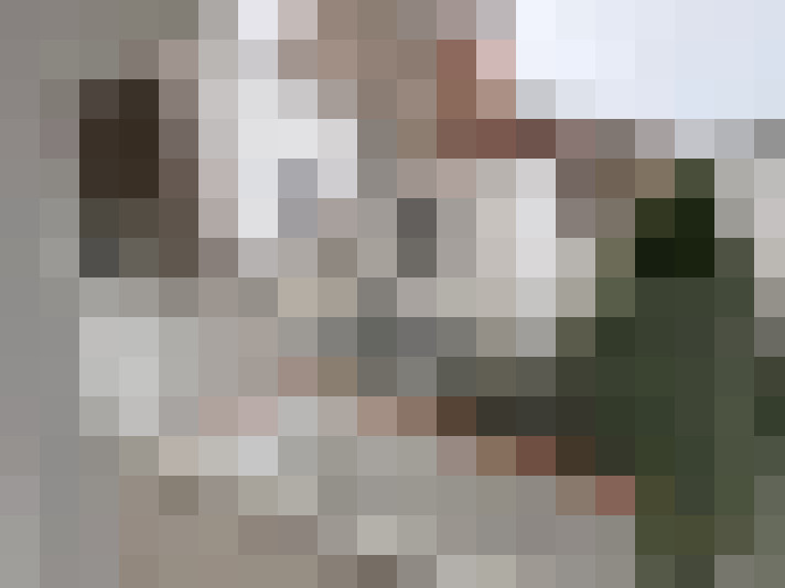 Image 20