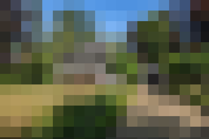 Image 22