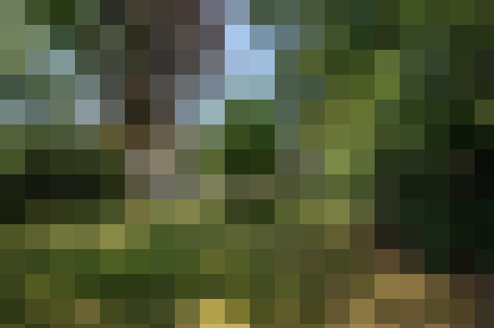 Image 17