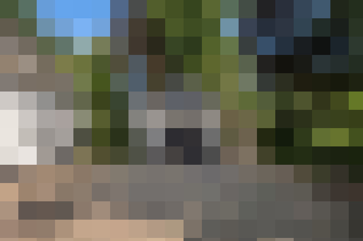 Image 20