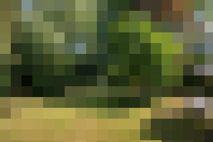 Image 16
