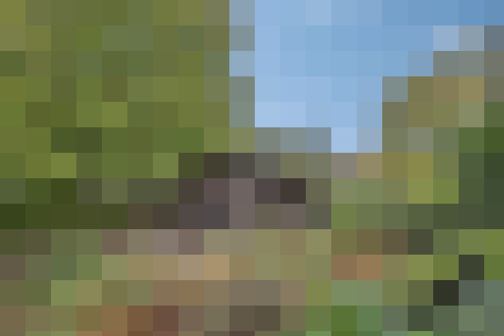 Image 27