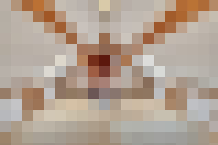 Image 25