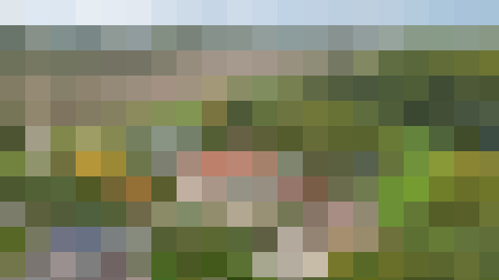 Image 28