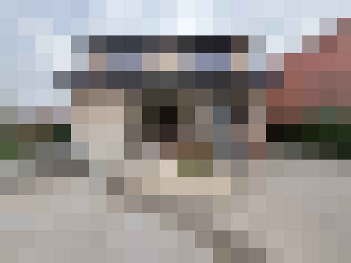 Image 14