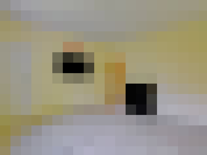 Image 16
