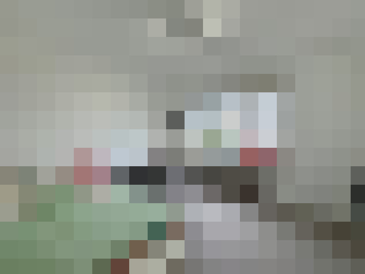 Image 14