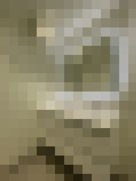 Image 13