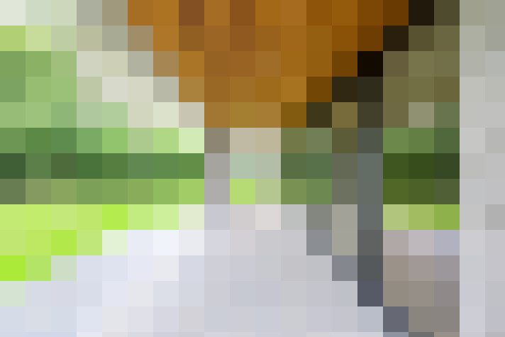 Image 27