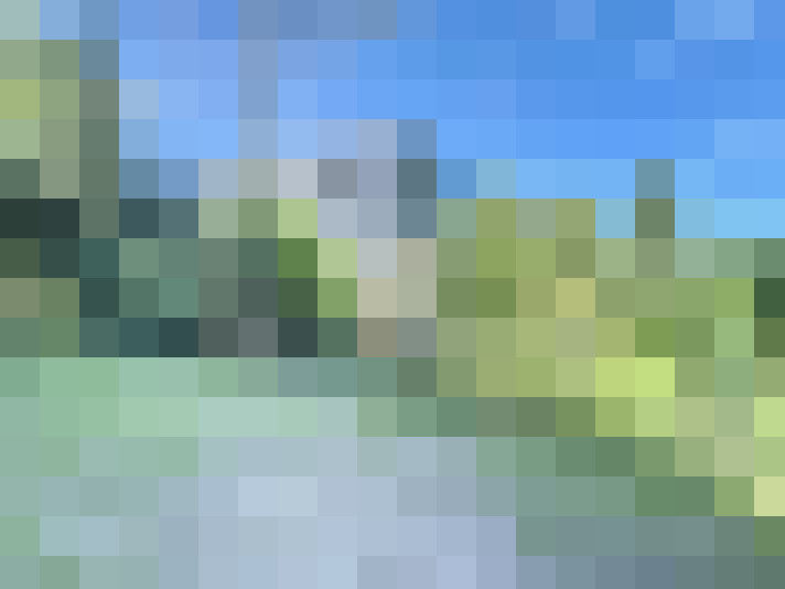 Image 20