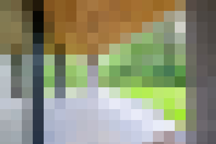Image 26