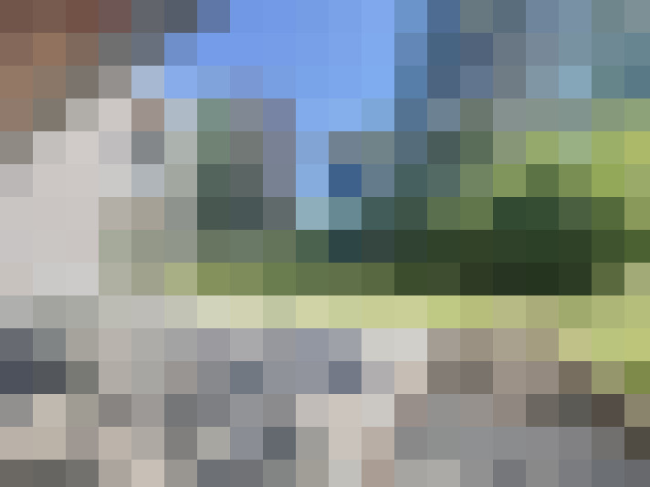 Image 22