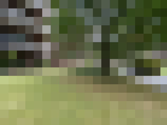 Image 16