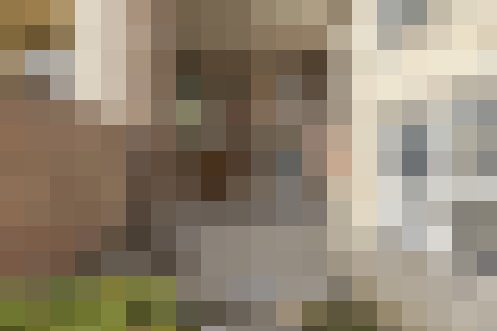 Image 30