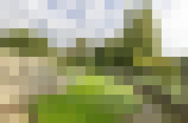 Image 29