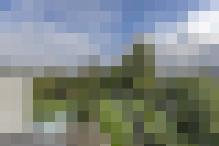 Image 14