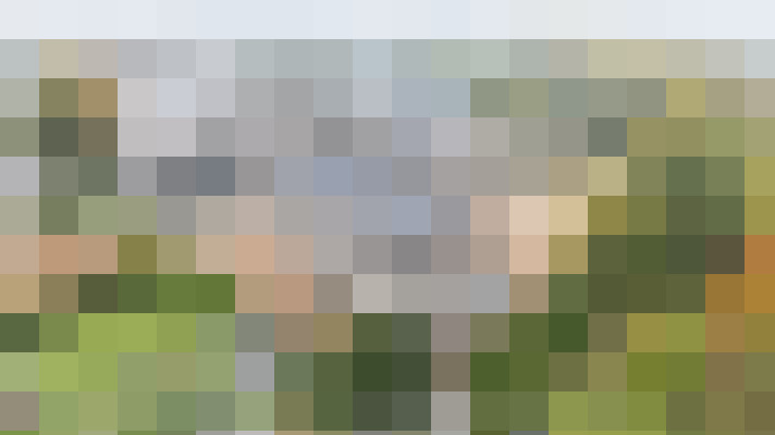 Image 20