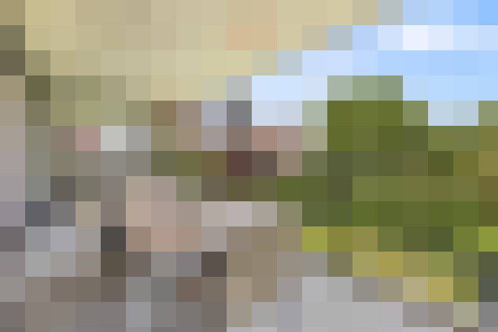 Image 20