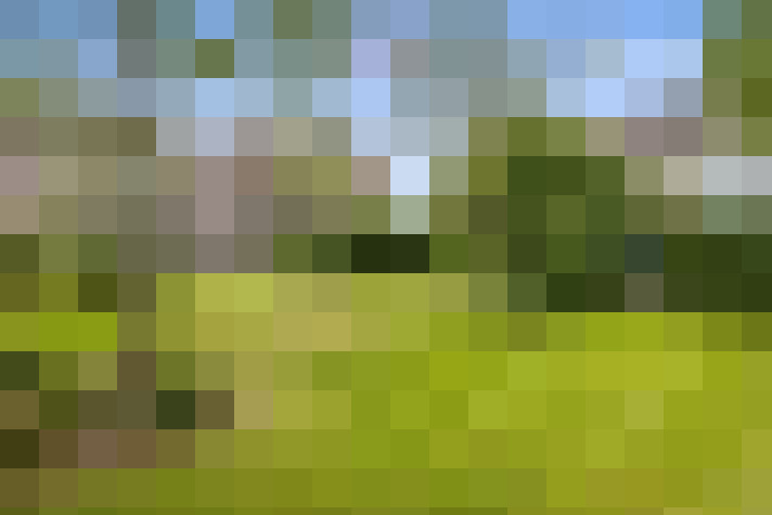 Image 23