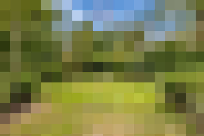Image 24