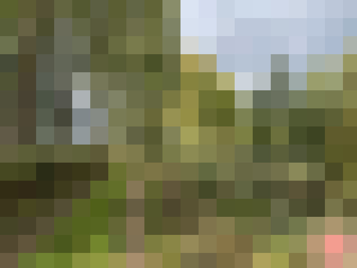 Image 25
