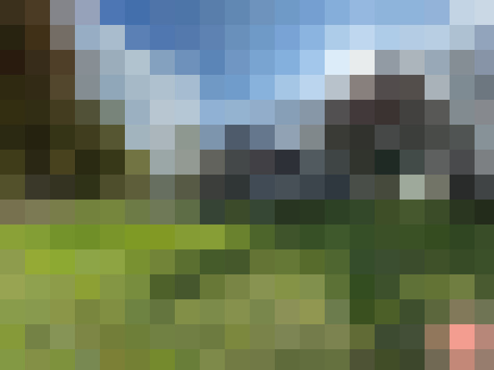 Image 23