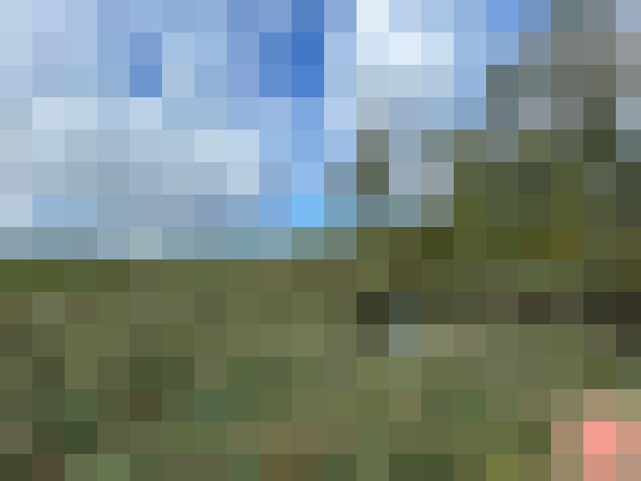 Image 14