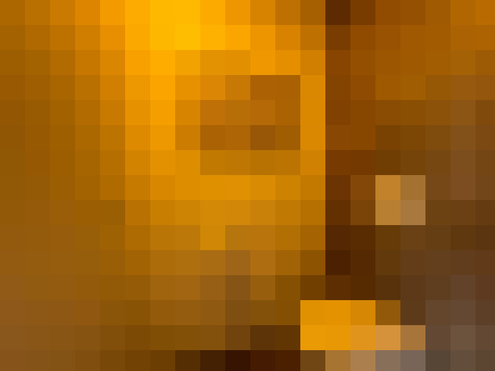 Image 20