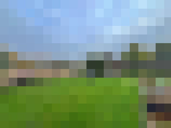 Image 24