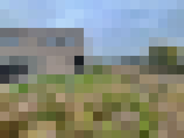Image 29